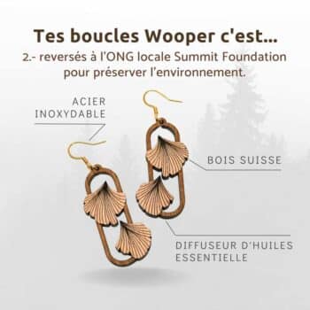 Boucles D Oreilles En Bois Ginkgo Bijoux En Bois Suisse