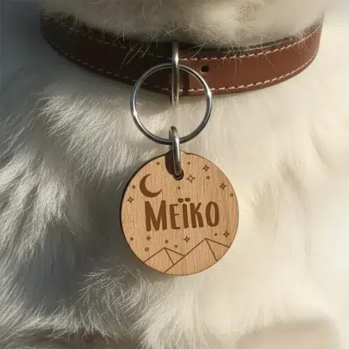 Médaille à graver pour animaux