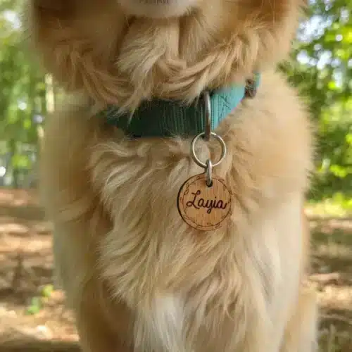 Médailles pour chien personnalisée