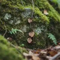 Collier élégant en bois suisse au design de feuilles de Ginkgo