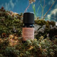 Black Spruce Essential Oil - Energizing