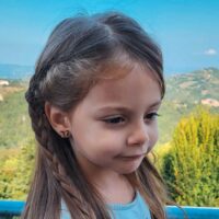 Swiss wooden ear studs in butterfly design