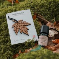 Leaf-shaped essential oil diffuser