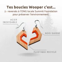 Amara Schweizer Holzohrringe