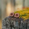 Orecchie di legno di girasole