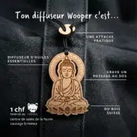 Avantages-diffuseur-bouddha Diffuseur d'huiles essentielles Bouddha