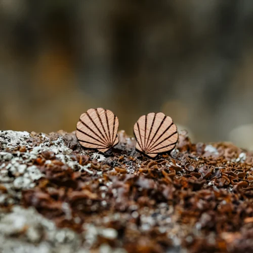 Ohrstecker aus Holz - Pecten - 2 Moana Ohrstecker aus Holz