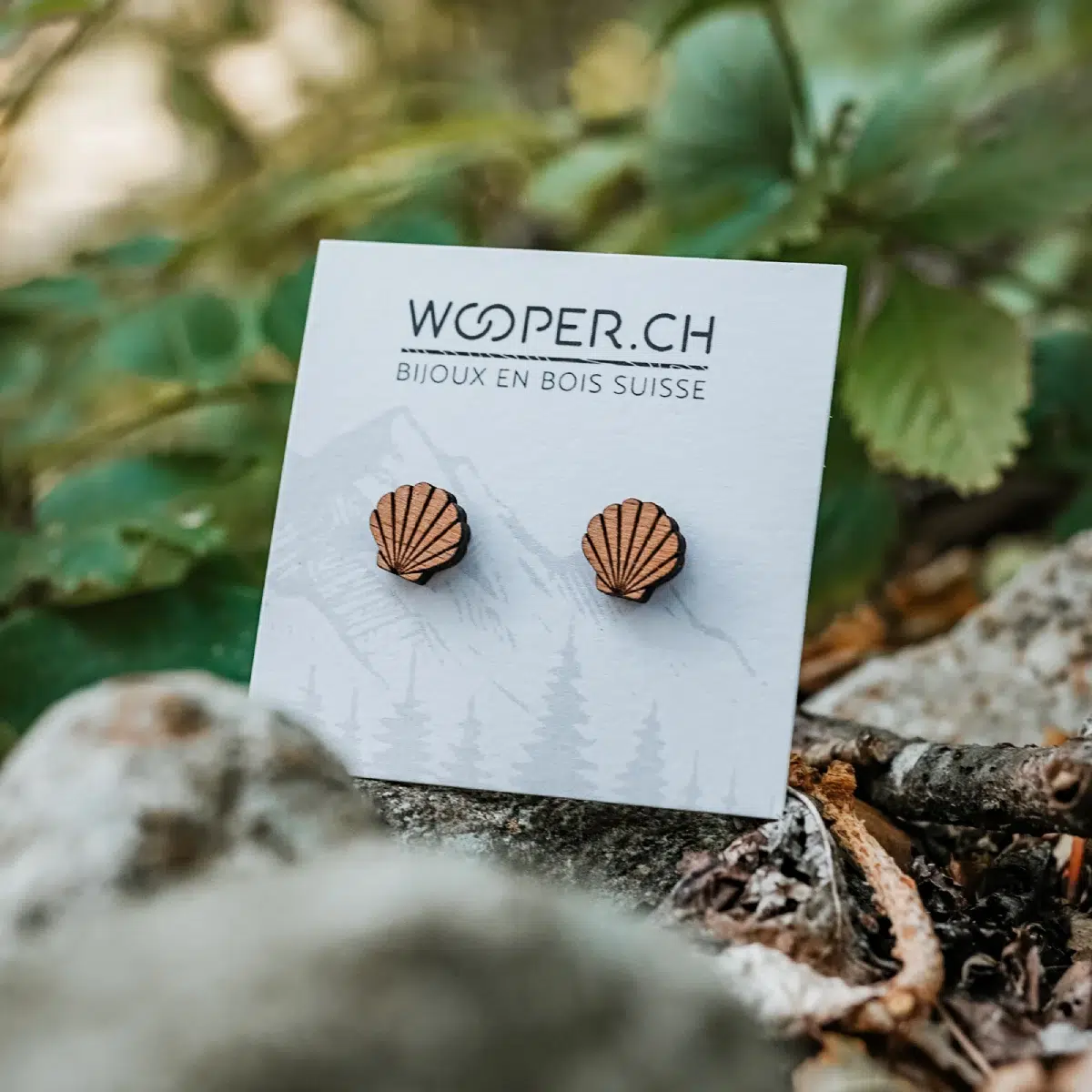 Clous-oreilles-en-bois-pecten Clous d'oreilles en bois Moana
